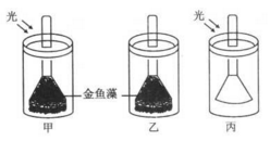 某生物興趣小組為探究綠色植物的 光合作用和呼吸作用,設計了如下實驗裝置.請分析作答: (1) 若要探究光是光合作用的必要條件.應該選擇的實驗裝置組合是 .若要探究氧氣是由綠色植物在光下產生的.應該選擇的實驗裝置組合是 .(2) 甲裝置試管中收集的氣體可以使帶火星的衛生香復燃.說明綠色植物的光合作用釋放出 .(3) 有同學利用甲裝置進行了進一步探究,實驗題目和參考答案-