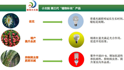 聚焦反季高效栽培，科技賦能海南火龍果產業——2020海南火龍果反季節種植管理研討會圓滿舉行